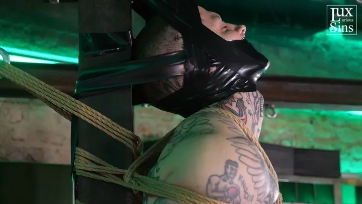 Luxurious Sins - Hashira: Heavy & Tamandua - Rope and Tape Bondage (AVI)