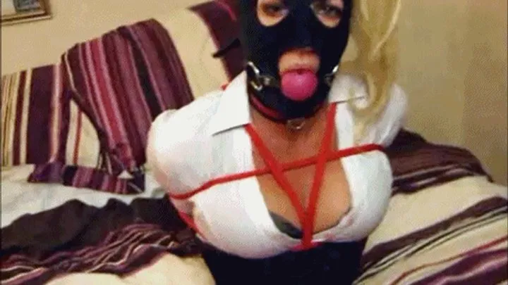 Blackfoxbound Clip Store - Christmas Candy