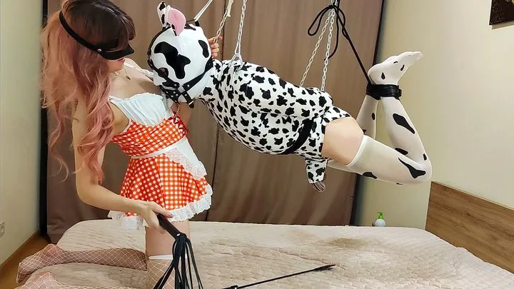 Seeyouinthesack - This flying cow needs to be milked