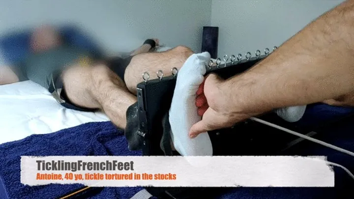 Tickling French Feet - Antoine tickled in the stocks (full HD)