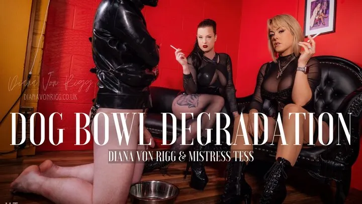 Diana Von Rigg - Femdom Dog Bowl Degradation with Miss Tess: Smoke, spit & Struggle
