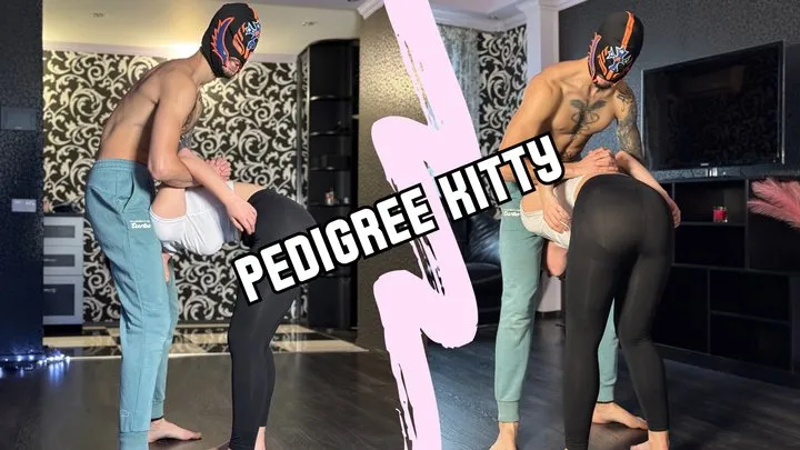 Sweet Fetish Land - Pedigree Kitty