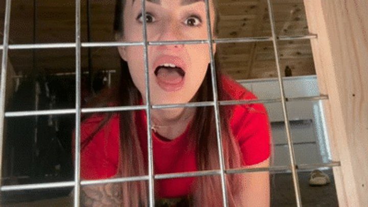 Angiefartland - Cage of shame and stench wmv