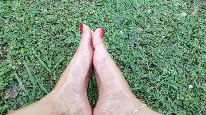 Goddess Foot Fetish - Enjoy such unparalleled steep arches (3)