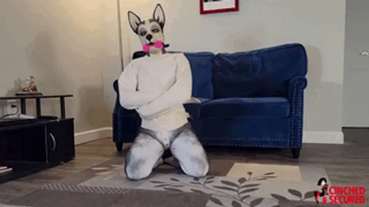 Cinched And Secured - MinxGrrl - Bad PupGirl Gets Straitjacket and Gag! (WMV Format)