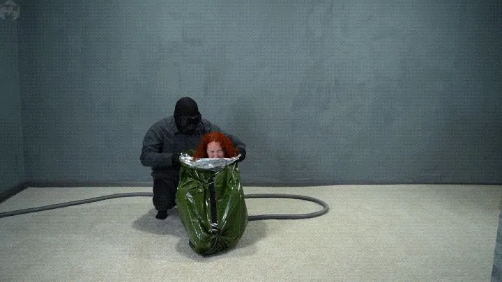 Vacuum Dreams - A special agent in a foil vacuum bag and a hacker