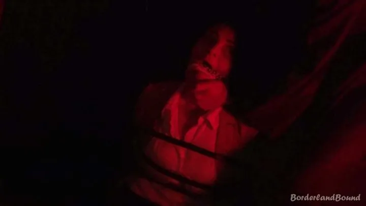 Borderland Bound - Roxxi & Sarah in: Phantom of the BLACK Screen Wraps Those Beautiful Bitch-Execs Like Rolls of Film While Making His Magnum Comeback!