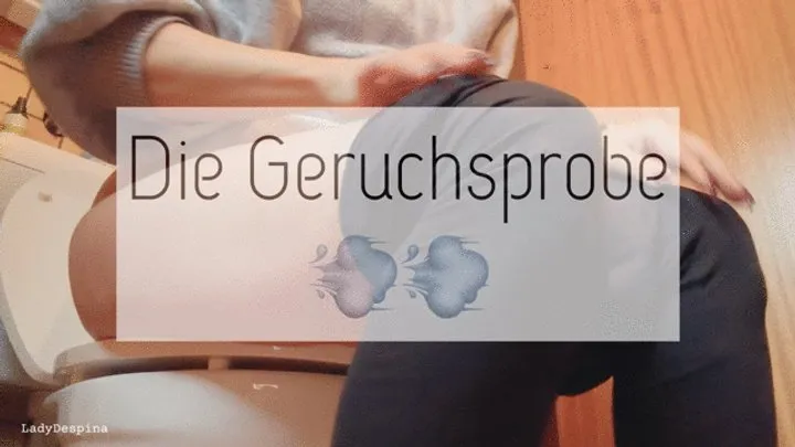 Dominaladydespina - Geruchstest - Fartfetish