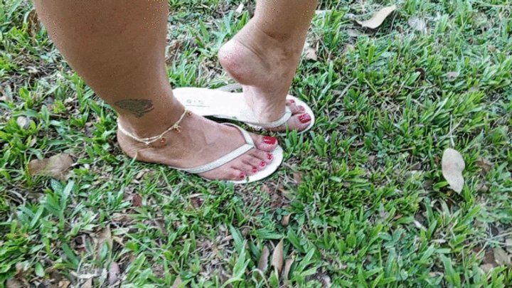 Goddess Foot Fetish - Pronounced arches and pretty painted nails on new flip-flops (3)
