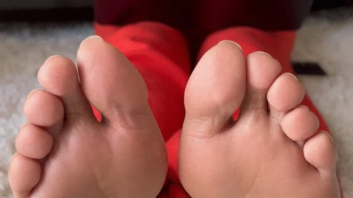 Shylinmilan - Tickle my feet while I do homework