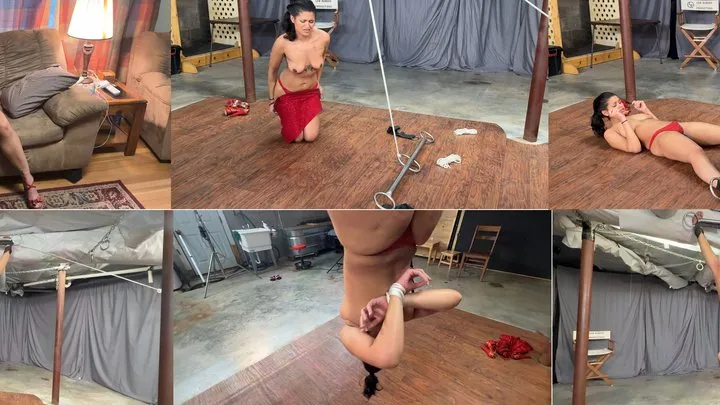 Lew Rubens Alpha Productions - Calisa Inverted Suspension Custom