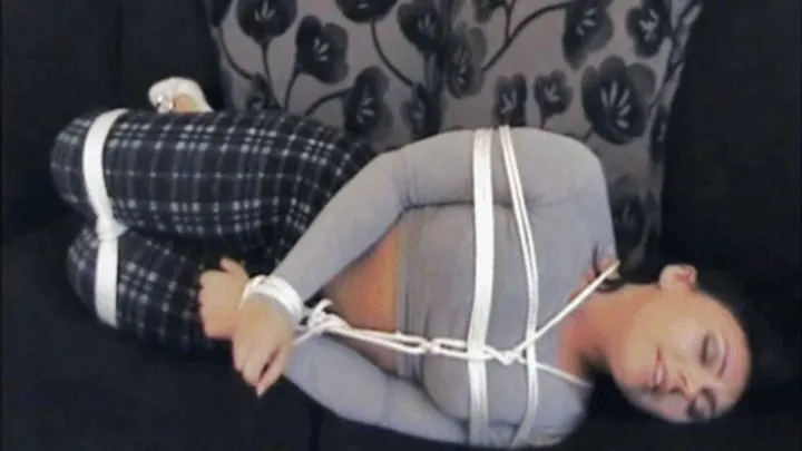 Blackfoxbound Clip Store - Babysitter Blues
