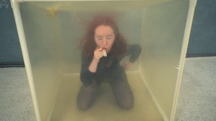 Vacuum Dreams - Experiments with poses in a transparent vacuum cube