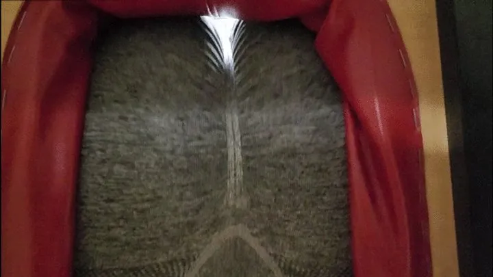 Princess Beigh - POV I Make You Smell My Sweaty Stinky Farts After I Workout