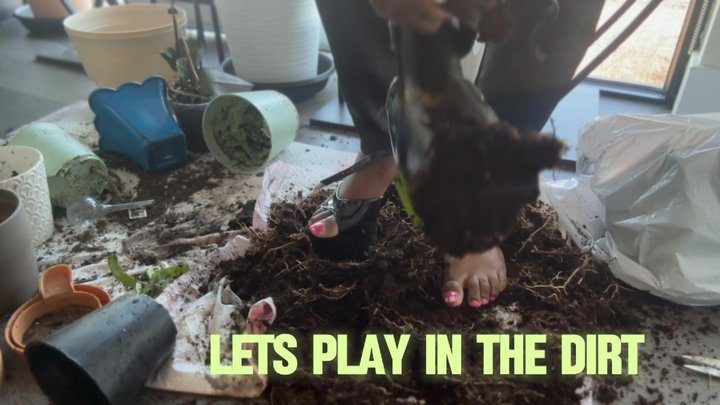 Indulgemenow - Lets Play in the Dirt