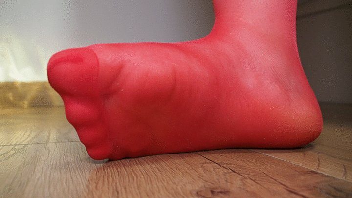 Anastasia Gree Clip Store - #6 Your Mistress's Feet in Red Nylon Stockings Are Your Object of Worship