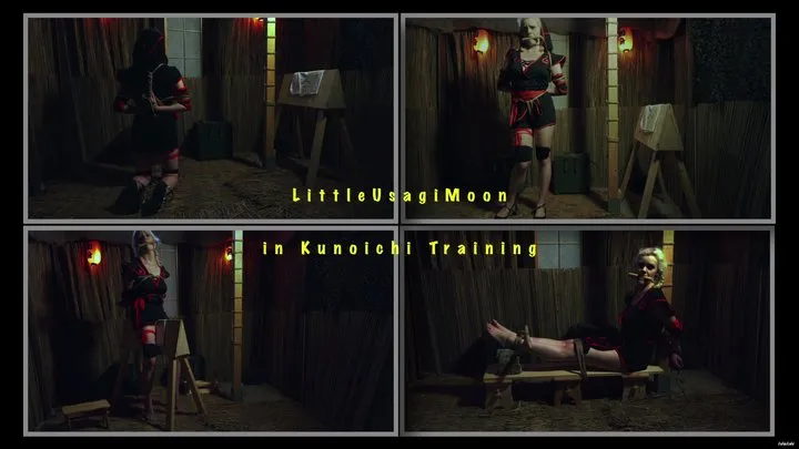 Ishidaki - LittleUsagiMoon in Kunoichi Training