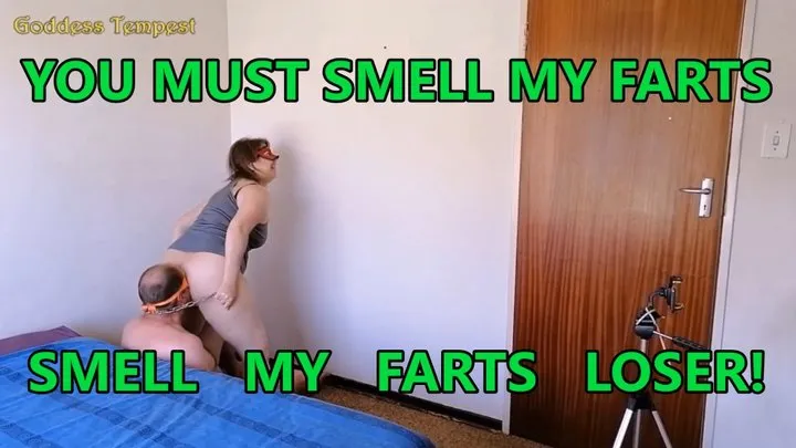 Face Farts - Extreme Fart Scenes 12 Movie - Facefarts, Farting, Face Sitting, Fart, Bondage, Female Domination, Ass Eating 720p