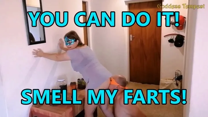 Face Farts - Extreme Fart Scenes 15 Movie - Facefarts, Farting, Face Sitting, Fart, Bondage, Female Domination, Ass Eating