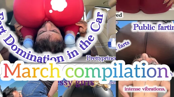 Prettyprincess - March compilation