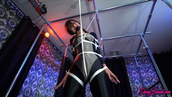 Shinybound - Escape Motivation