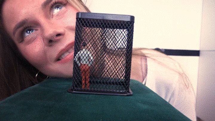 My Private Clips And Fantasies - Caged and gassed mp4 HD