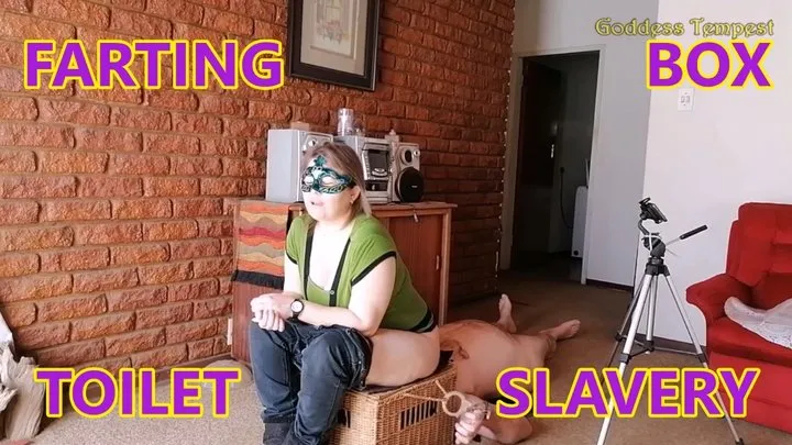 Face Farts - Farting Female Domination 9 - Facefarts, Fart, Farting, Ass Worship, Face Sitting, Female Domination, Ass Eating 720p