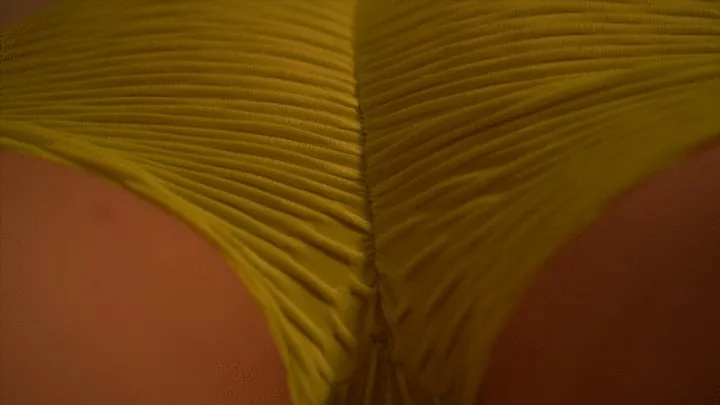 Queenfartandslave - Big solo farts