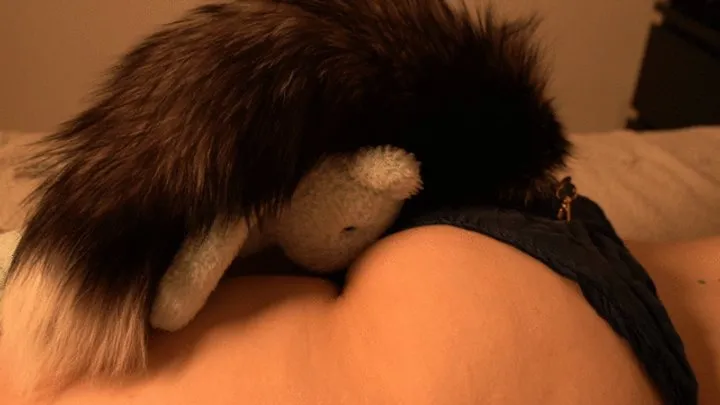 Queenfartandslave - Wolfgirl farting on her teddy's nose