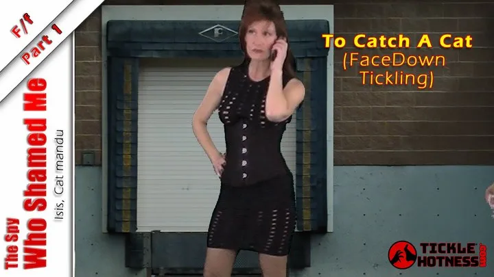 Ticklehotness C4s - The Spy Who Shamed Me - Part 1 - To Catch A Cat (Nylon Foot Tickling)