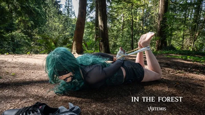 Iartemis - In The Forest