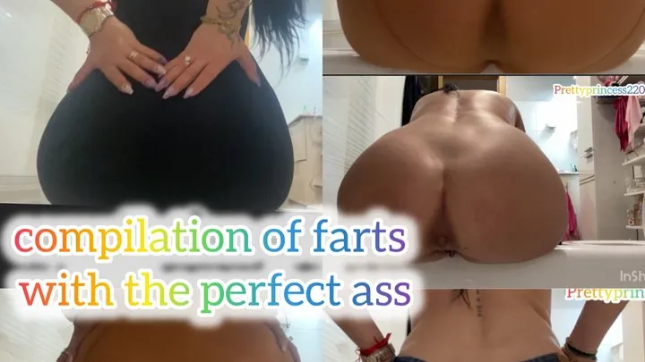 Prettyprincess - compilation of farts with the perfect ass