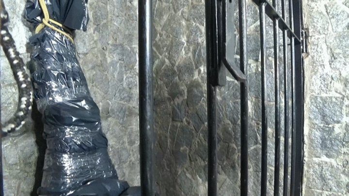 Ms Fetish Studio - EVIL PRINCESS ATTACKING AGAIN WITH A SLAVE IN CAPTIVITY LOCKED UP PART 1 BY DONA BELLA AND DANIEL SANTIAGO CAM BY ALINE FULL HD