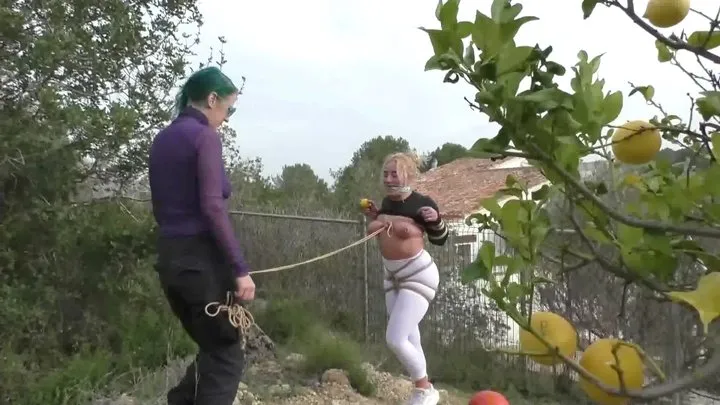 Tied In Public - Zoey Ziptie 72h Extreme Challenge - Chapter 14 - Bondage Walk & Outdoor Training- Part 2 mp4 SD
