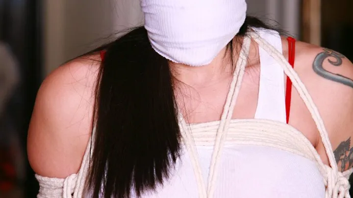 Dominic Wolfe's Gagged Beauties - Gorgeous Cassandra is a FURIOUS, Super Frustrated, Tightly Bound, Gagged, Hopping MAD Babysitter! RE ENCODE 2025
