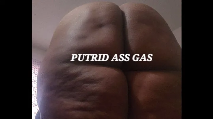 The Rabbit Hole - PUTRID ASS GAS