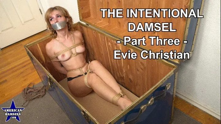 American Damsels By Jon Woods - The Intentional Damsel - Part Three - Evie Christian - 854x480