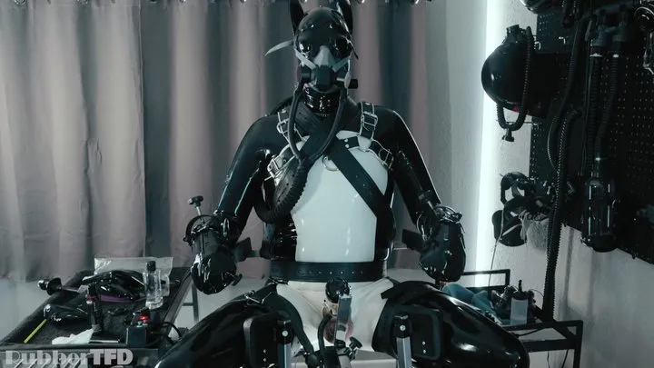 Rubbertfd - RUBBER PUP BOUND [PP TRAINING] - [Gay Leather, Latex, Fetish]