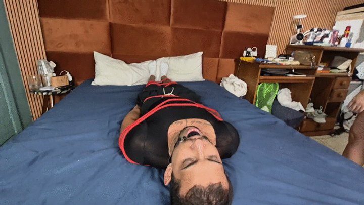 Babiventurafetish - Smashing your face with my sweaty ass after the gym By Ariel and Jack