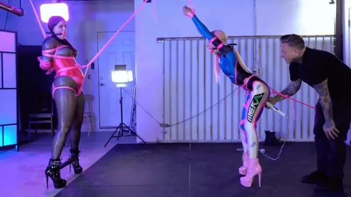 Shinybound - Progressive Predicament
