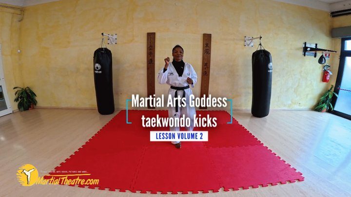 Martial Fetish - Martial Arts Goddess taekwondo kicks lesson volume 2