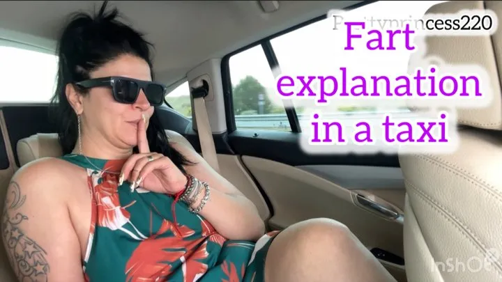 Prettyprincess - Fart explanation in a taxi