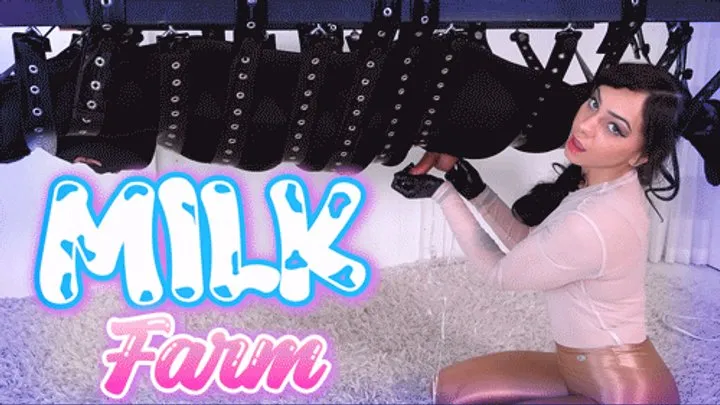 Skylar Locke - Milk Farm