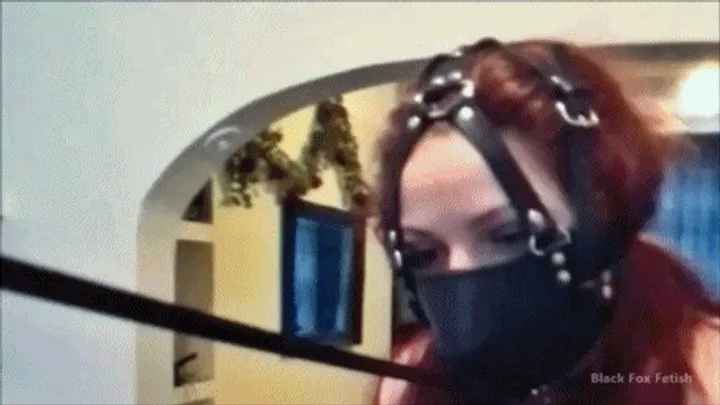 Blackfoxbound Clip Store - Follow Me