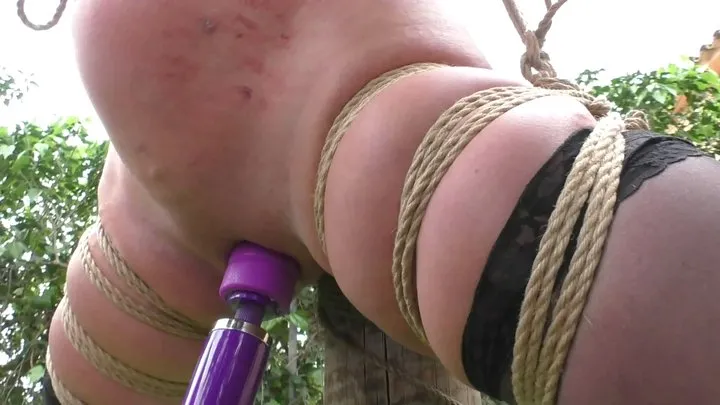 Supertight Bondage Challenges - Zoey Ziptie 72h Extreme Session - Chapter 12 - Cruel Hanging Predicament by Bob - Full Clip mp4 HD