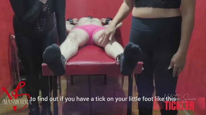 Valentina Severo Tickler - Bebezão comprou cueca rosa pra receber CÓCEGAS de duas Ticklers Valentina e Sylnifty
