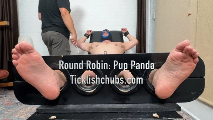 Ticklishchubs - Round Robin: Pup Panda