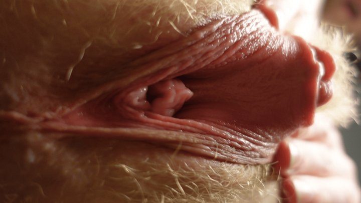 Hotredwildcat - POV riding your face with my beefy pussy