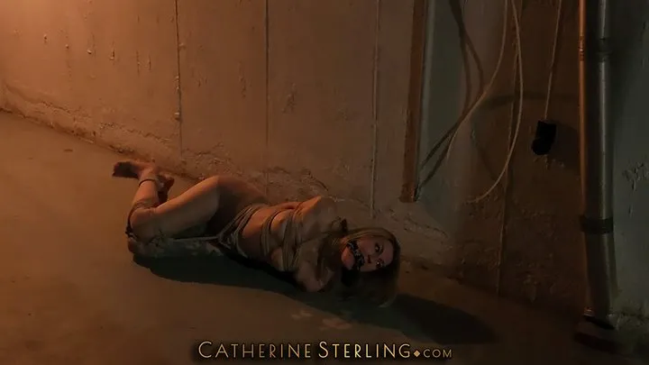 Catherine Sterling - Stolen, Stripped & Stored in Storm Cellar, Damsel Catherine Sterling Struggles in Pantyhose with Exposed Small Breasts on Cold Concrete Floor! HD MP4 Version