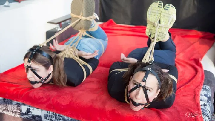 Bondage Dreams - Sofi and Sally_Bondage in jeans and black sweatshirts with jute ropes_Part 1-3_Full version